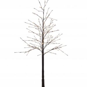 e77b356919318ffbf747481ac4ec61f4